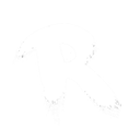 Reallionaire Logo